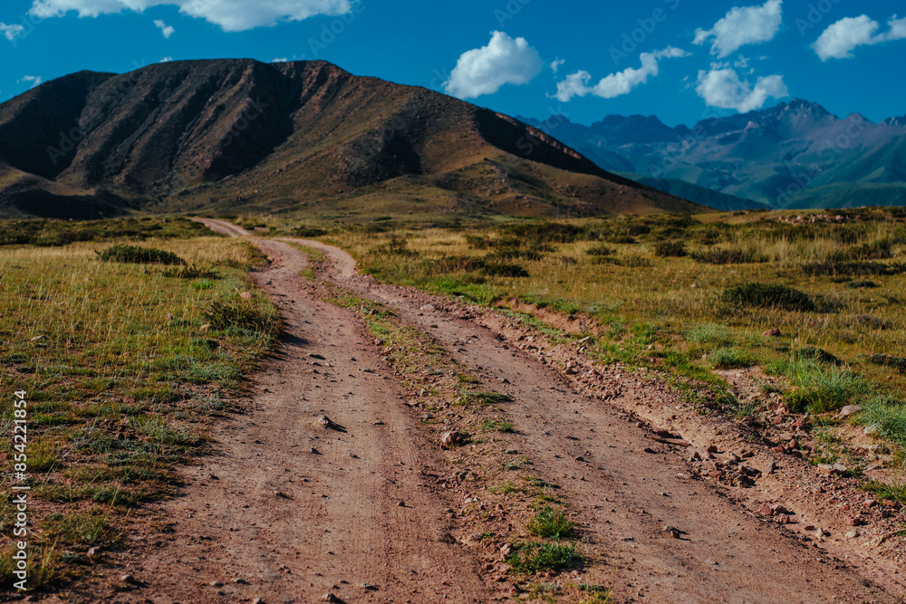 Wall mural Mountain valley with dirt road in summer