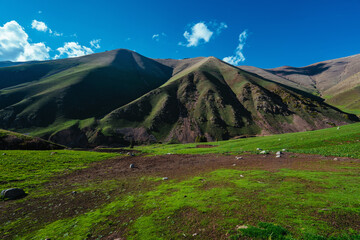 Fototapeta premium Picturesque mountain valley on summer day