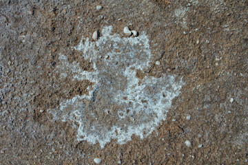 Soil with dried salt background or texture