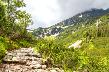 nature and Tatra mountains in Poland during the summer day