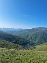 Naklejka premium Processed with VSCO with al3 preset