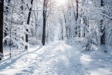 A serene snowy path flanked by snow-laden trees, with sunlight piercing through the forest