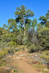 A view of bush land at the Ormiston Gorge in the Northern Territory of Australia.