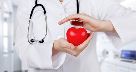 Hands of cardiologist doctor hold red heart