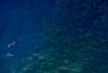 A pair of snorkellers approach a large school of Munk's Devil Rays aka Mobula Rays (Mobula munkiana) in Baja California Sur, Mexico