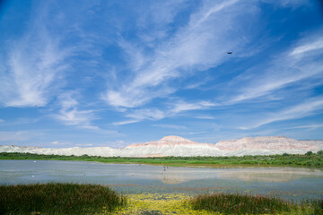 Migratory birds in geologically formed mountains and national parks. Ankara Nallihan Turkey