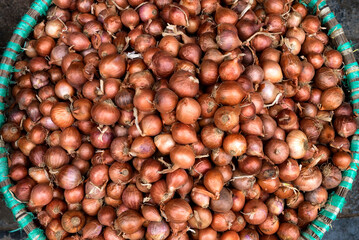 Basket of shallots