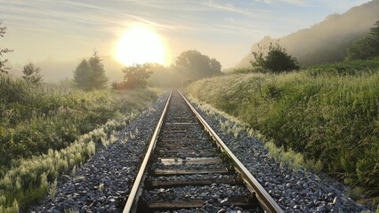 Railway trucks in the green natural forest at sunrise. Train journey point of view