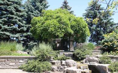 Summer landscape with trees  and pond