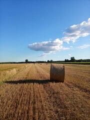 hay bale in the field