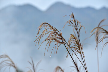 秋の山の頂上から見た景色