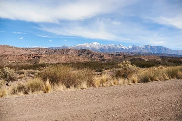 On the side of a gravel road in Mendoza, Argentina, a landscape stretches out with the mountains of the Andes in the distance on the horizon.