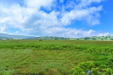 青空バックに見る夏の車山高原の情景