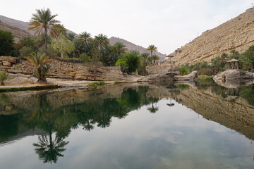 Oasis wadi in Oman