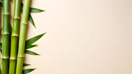 Naklejka premium Bamboo stems and leaves on a light beige background with copy space