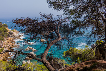 Naklejka premium View of the sea coast in Lloret de Mar, Costa Brava, Catalonia, Spain.