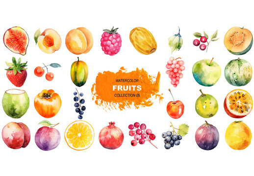 Vector watercolor painted style - fresh fruits clipart isolated on white background. Created using Generative AI.