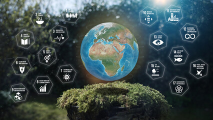  Earth Europe Africa The 17 Global Goals for 2030 Icons Hexagon Concept Mos on Tree stump Nature Background