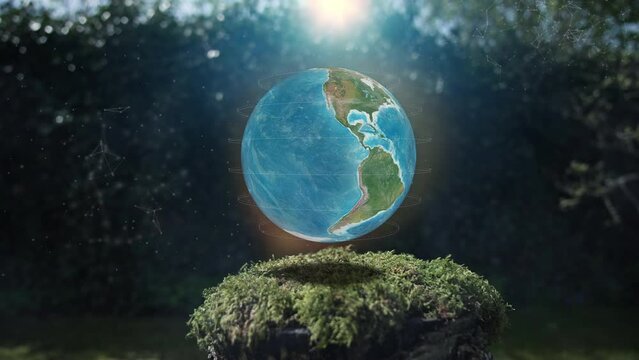 Earth Plexus Concept Mos on Tree stump Nature Background