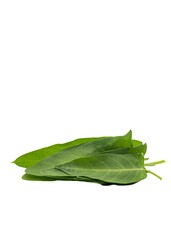 Water Spinach or Ipomoea Aquatica Heap Isolated on White Background with Copy Space in Vertical Orientation