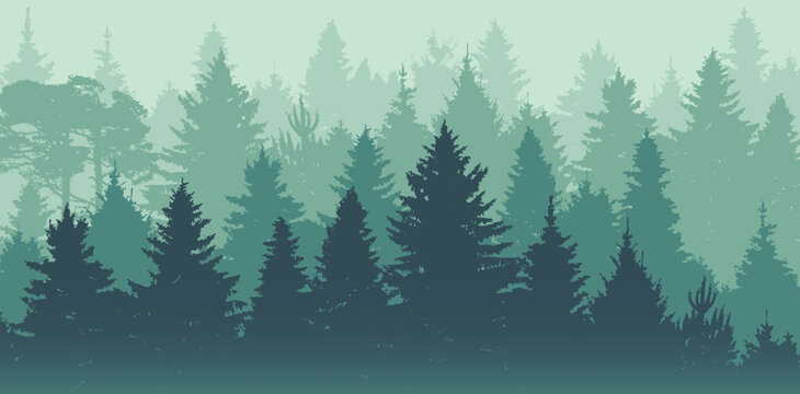 Natural forest landscape. Woodland panorama with silhouettes of coniferous trees, pines, firs and spruces. Background with evergreen plants. Foggy environment scenery. Flat vector illustration