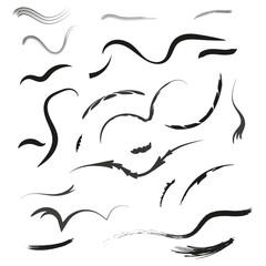 Abstract brush strokes. Artistic lines set. Black and white. Vector elements.