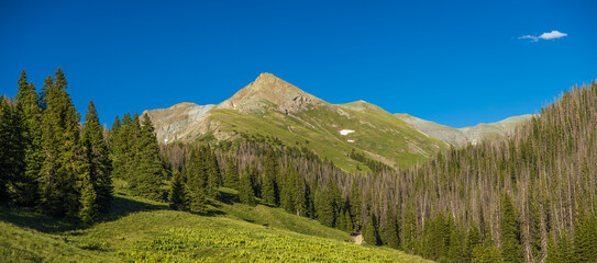 Green mountain peak with forest meadow and clear blue sky