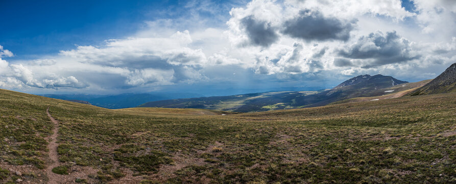 Mountain tundra meadow overlooking sunlit forest valley