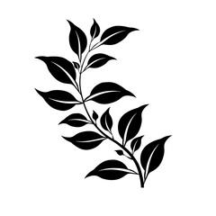 Fototapeta premium Vector Illustration of a Vine