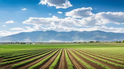 Picturesque Farmland with Blue Skies and Mountains