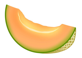 カットされたオレンジ色のメロンのイラスト　赤肉メロン（主線なし）