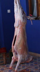 Eid Lamb Carcass Preparation - Traditional Butchering for Eid al-Adha