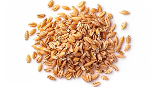 organic peeled spelt grains isolated on white background top view