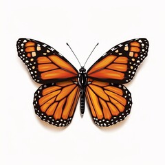 Fototapeta premium Beautiful colorful butterfly isolated over white background