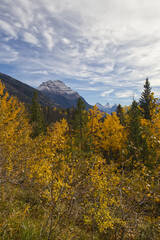 Rocky Mountains in the Autumn