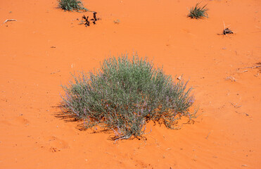 Famous monument valley in Arizona