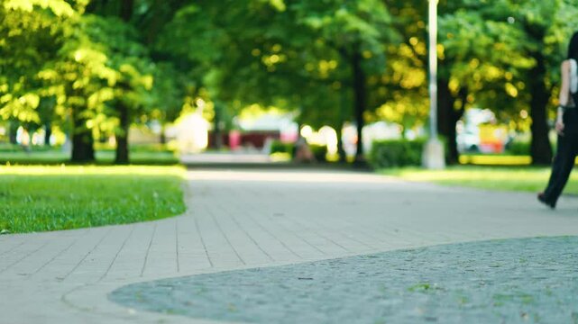 A slow motion video captures the serene atmosphere of a peaceful green park pathway, ideal for leisurely strolls
