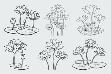 water lily outline vector set