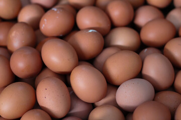 a collection of chicken eggs in boxes ready to be sold at the local market