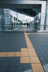 people walking in the city