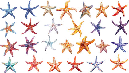 starfish watercolor clipart	