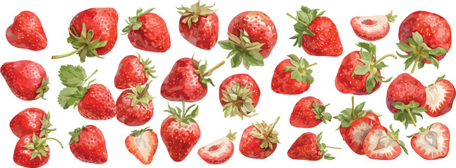 strawberry watercolor clipart	