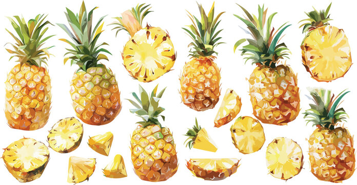 pineapple watercolor clipart	