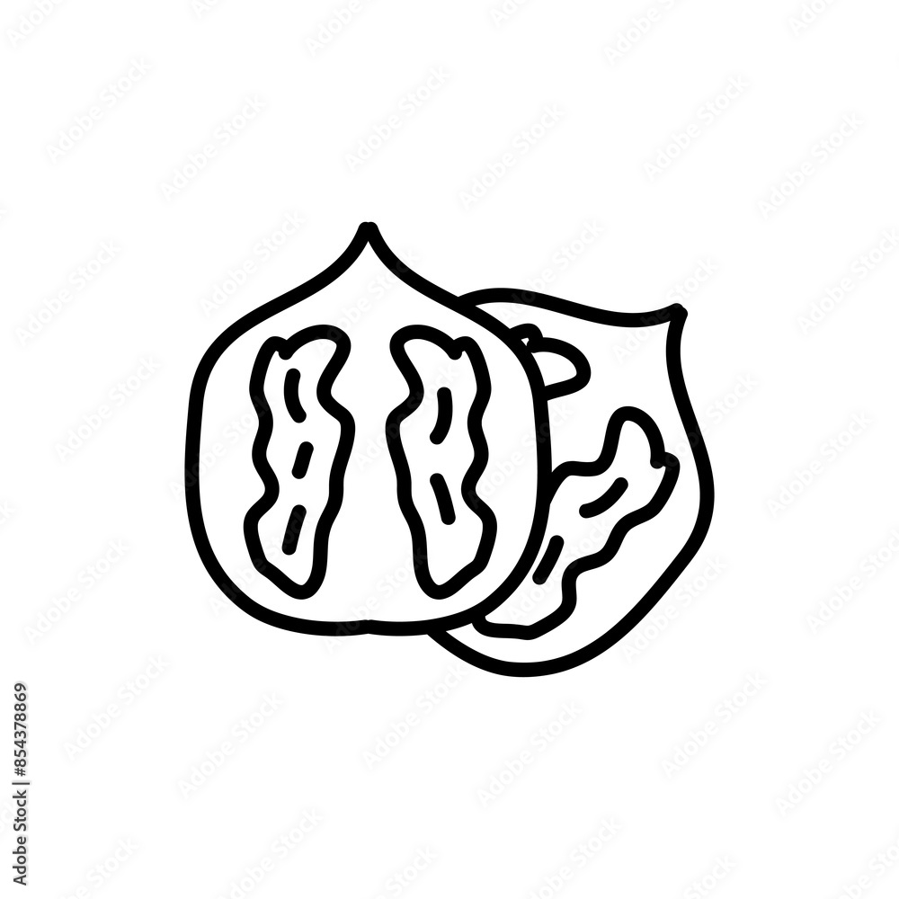 Poster walnut nut vector icon. whole and peeled walnut trendy style linear illustration for web and app on 