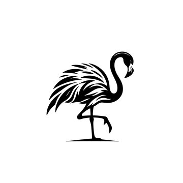 recommend clip art: flamingo silhouette vector illustration
