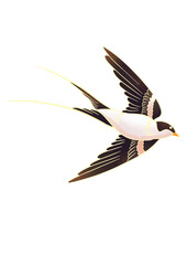illustration of a bird