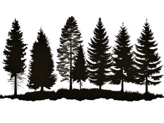Obraz premium silhouettes of pine forest on a white background