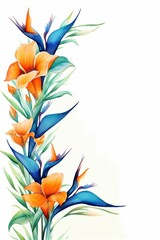 bird of paradise themed frame or border for photos .featuring exotic orange and blue flowers. watercolor illustration, white color background. 