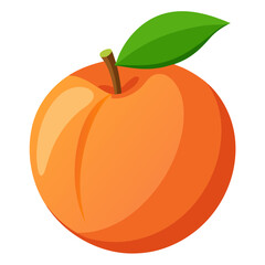 illustration of a peach