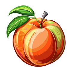 illustration of a peach